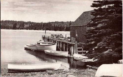 Chance harbour postcard - harbour, nb