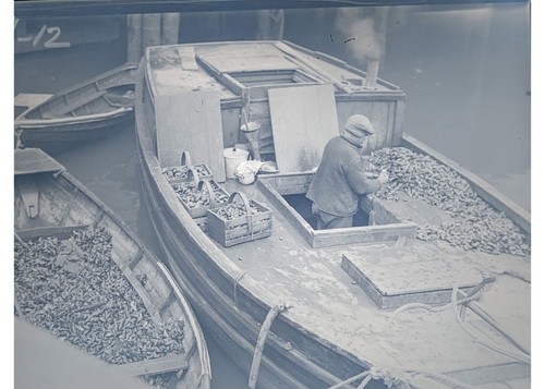 1930 boston harbor mussel - boston,
