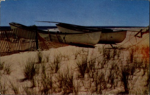 Long beach island fishing - nj,