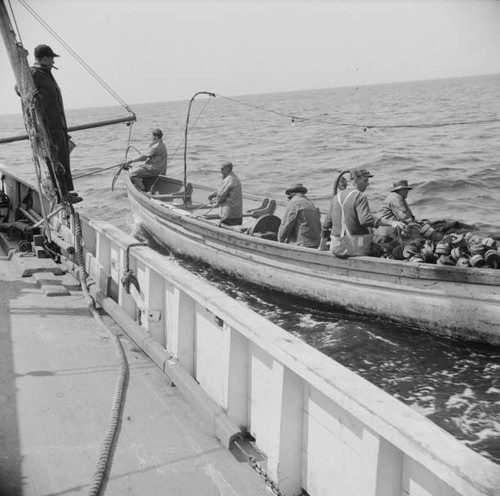 Board fishing boat alden - board,