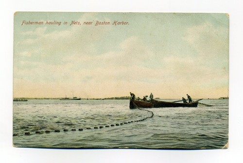 Fishermen hauling nets from - fishermen,